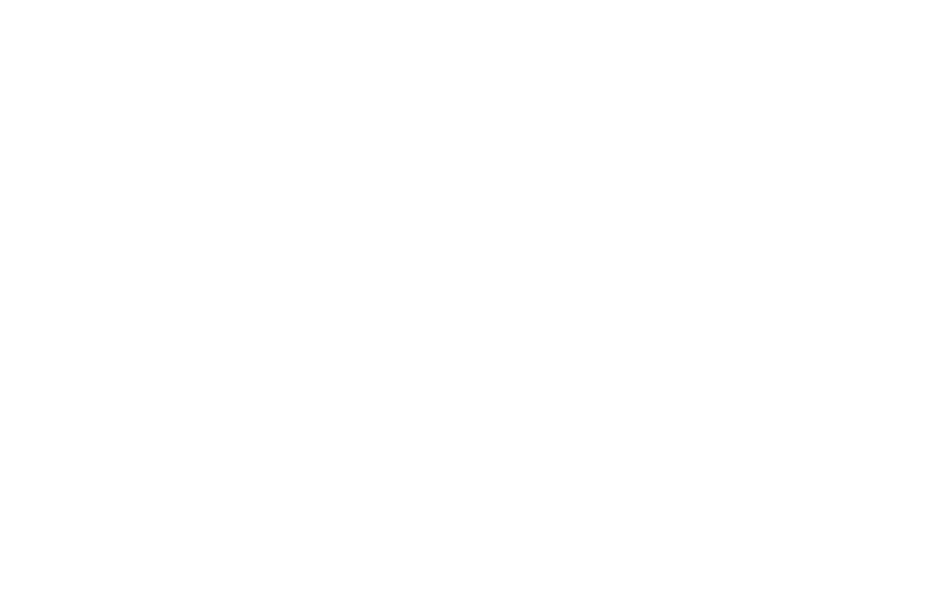 HSS logo White